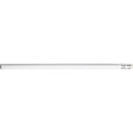 Unsharpened Pencil White